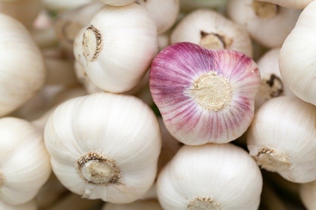 garlic-84691-640